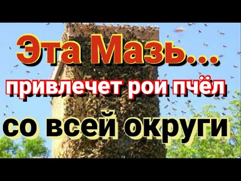 Мазь для привлечения роев в ваши ловушки. Пчеловодство начинающим.