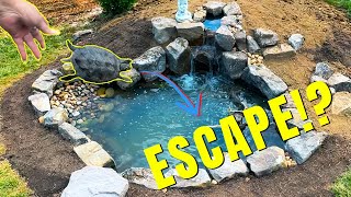 Turtle Pond Build | How to Stop Turtles Without a Fence