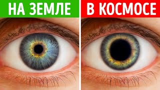 Что, если бы люди жили в космосе миллионы лет?