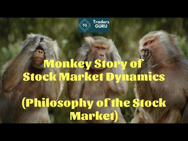 Story :) Stock (Monkey) Market Funny Explanation – PROPEL STEPS