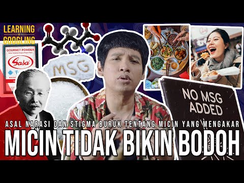 Kenapa Micin Dianggap Jahat? Sejarah Penemuan MSG Dan Konspirasi Dibaliknya! | Learning By Googling