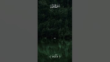 من اروع ما قرا الشيخ محمد ايوب سورة طه.  وما تلك بيمينك يا موسى #الرحمن #المصحف #حالات_واتس