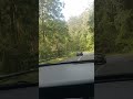 traveling in beautiful nature