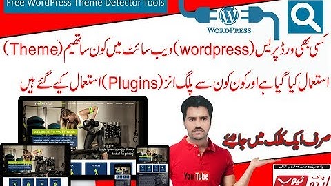 How to Find Which WordPress Theme And Plugins a Site is Using