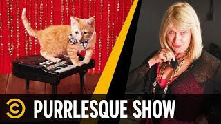 Purrlesque Entertainment: Kitten Dancers - Mini-Mocks Purrlesque Entertainment: Kitten Dancers - Mini-Mocks