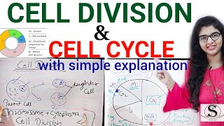 Cell Cycle (overview , Interphase) and  Cell Division in hindi