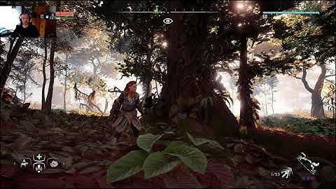 Horizon Zero Dawn on PC. Graphic Artifacts and Glitching