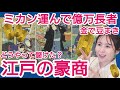 豪商の一生〜江戸のイーロンマスク!?億万長者の栄光と転落の一代記〜