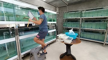 Autsawin Aquatics - On Tour บ้านใหม่คุณวิน งานแรกจัดชุดน้ำดีและงานลมให้ก่อน/ รับปลาสวยกลับด้วย Set 2