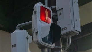 LED電球歩行者信号機（更新済み） - YouTube