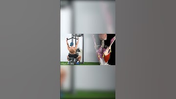 Lỗi sai thường gặp trong bài tập lưng xô