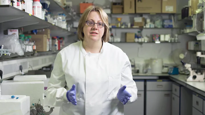 Discovering a research platform through our fellowship schemes