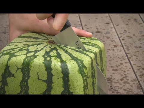 Квадратные арбузы Японии / Square watermelons Japan / 四角スイカ