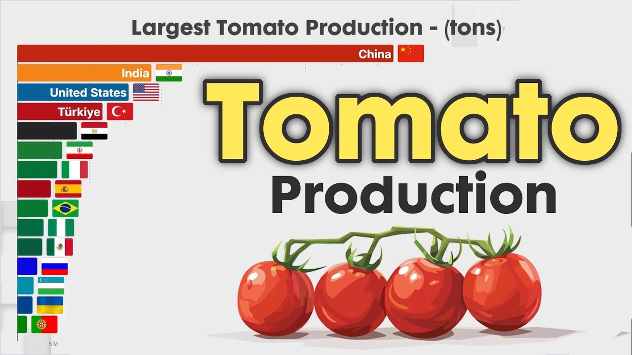 Largest Tomato Producing Countries 1960 - 2025