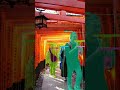 🔥 Instance Segmentation &amp; Tracking with YOLO26 🚀 Real-Time AI Demo #Shorts #shorts