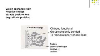 lecture 8 chromatography in proteomics affinity ion exchange reversed phase