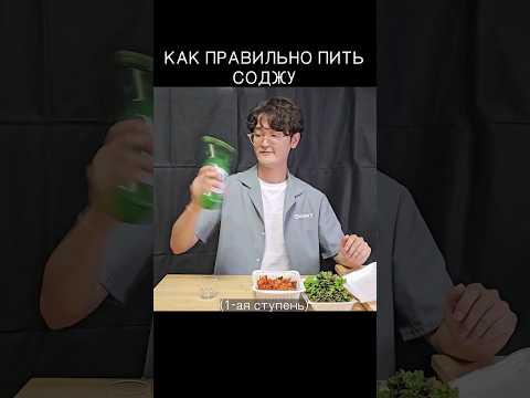 Как правильно пить СОДЖУ с корейцами? #кореец #корея #мукбанг #shorts