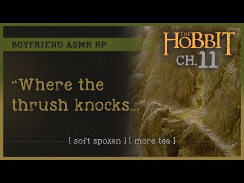Boyfriend reads you 'The Hobbit' (Ch. 11) (ASMR RP M4A) 🏔️ [soft spoken] [more tea]