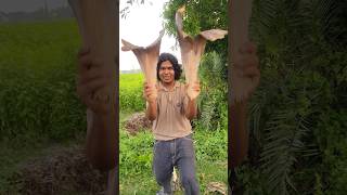 Nagin Dev 😅 #fncontent #viral #funny #shortvideo