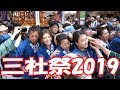 【三社祭2019】#2 大迫力!!!! 2019/5/19