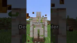 Minecraft'ta BİLMEDİĞİNİZ Bazı İlginç Şeyler PART 4