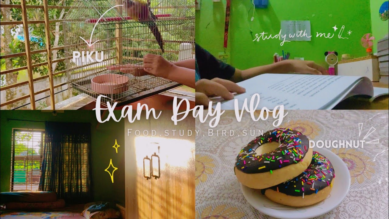 Exam Day Vlog // A day in my life // Bangladeshi vlog 🇧🇩 