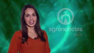 AGRONOTICIAS sie7e PROGRAMA 70