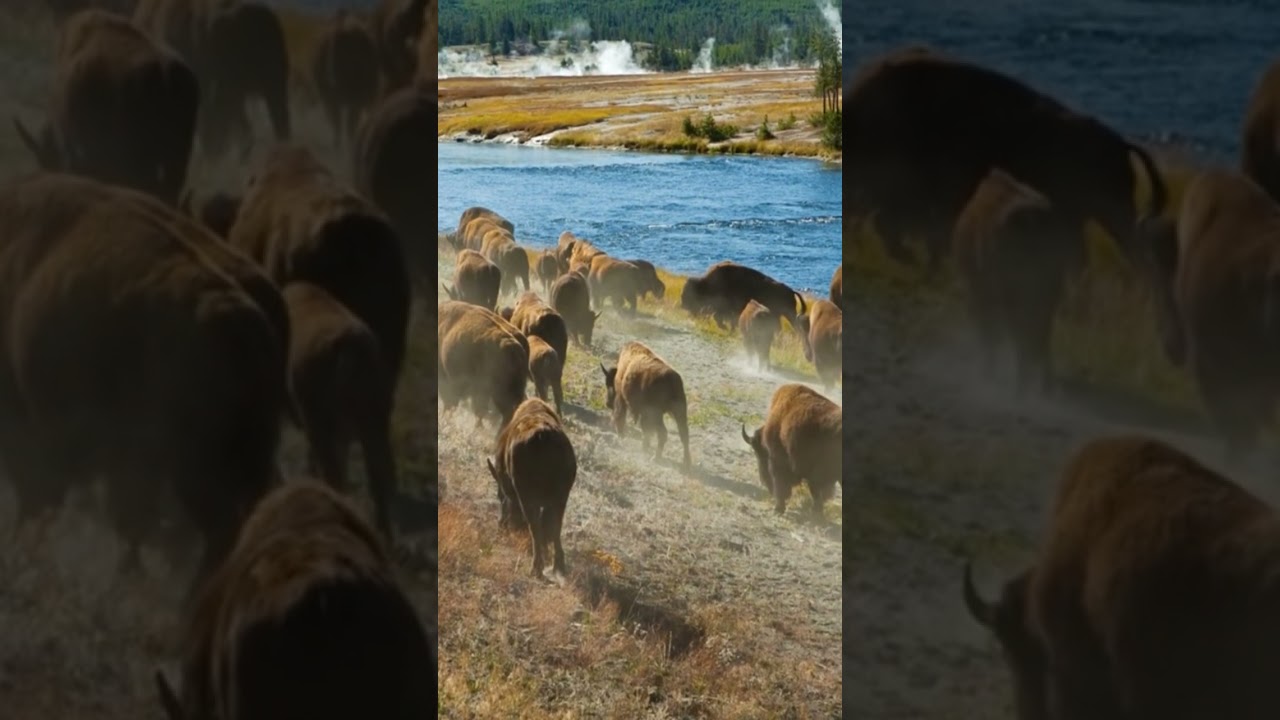 Единственный супервулкан на Земле