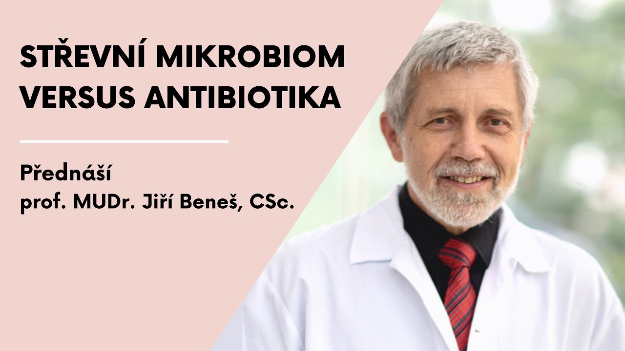 Zákopová válka: střevní mikrobiom versus antibiotika