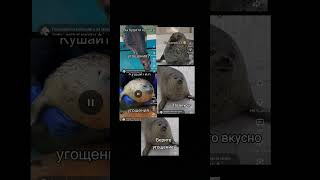 вы будити кушать угощение?