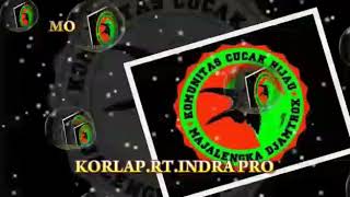 Kicau Mania Majalengka Djamtroks