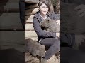 Wombats Have Fur Built For Burrowing #shorts