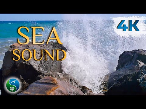 Видео: Такомагийн үзэсгэлэнт далайн эрэг дагуу хийх зүйлс