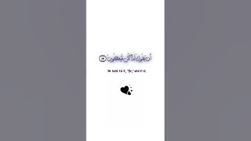 يقول له كن فيكون✨سورة يس✨طارق محمد✨كروما قرآن كريم خلفية بيضاء white ground 🤍 #quran #quran_chroma