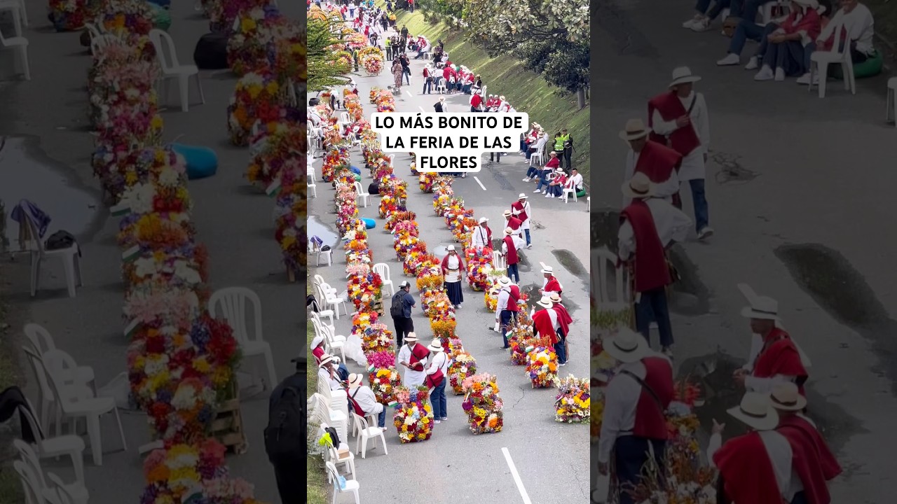 El desfile de SILLETEROS lo más bonito de la feria de las flores. 