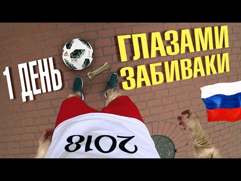 ДЕНЬ ЗАБИВАКИ ОТ 1-ГО ЛИЦА! DAY IN LIFE OF ZABIVAKA! ТАЛИСМАН ЧЕМПИОНАТА МИРА ПО ФУТБОЛУ!