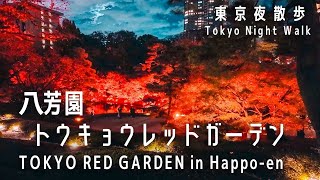 ⼋芳園「トウキョウレッドガーデン」（TOKYO RED GARDEN in Happo-en）