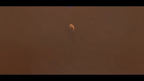 Jester outside - Lethal Company with mods, FT. Sirbiliam