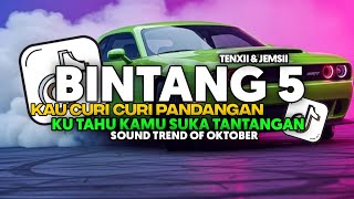 DJ BINTANG 5 - TENXII & JEMSII FULL SONG Vel Remixer 2025