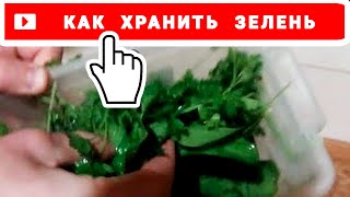 Как ХРАНИТЬ СВЕЖУЮ ЗЕЛЕНЬ — простой способ Как ХРАНИТЬ СВЕЖУЮ ЗЕЛЕНЬ — простой способ