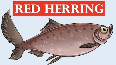 Learning Logic  []  The Red Herring Fallacy   ..............#33