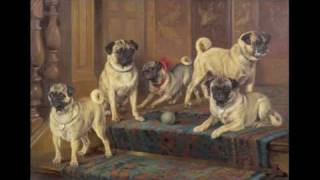 historical changes in pugs over time