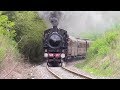 Treno a vapore in Valsesia primavera 2018