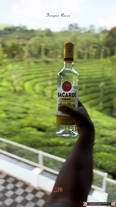 Bacardi Party | White Rum | Cocktail #alcohol #shorts #bacardi