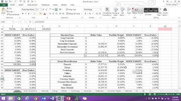 How To: Navigating Diversification Spreadsheet