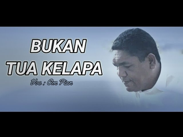 Lagu Bukan Tua Kelapa || VIAN BUE class=