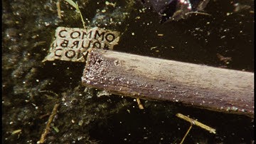 4K UHD Scan of Super 8.