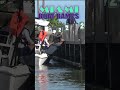 Another One In The Drink | Miami Boat Ramps #shorts #miami #boating #miamibeach #fail