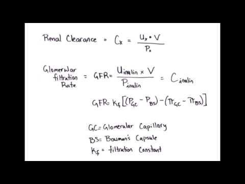 How do you calculate glomerular filtration rate?