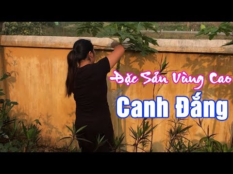 Video Hướng Dẫn Cách Nấu CANH ĐẮNG của Người Hà Giang... - youtube
